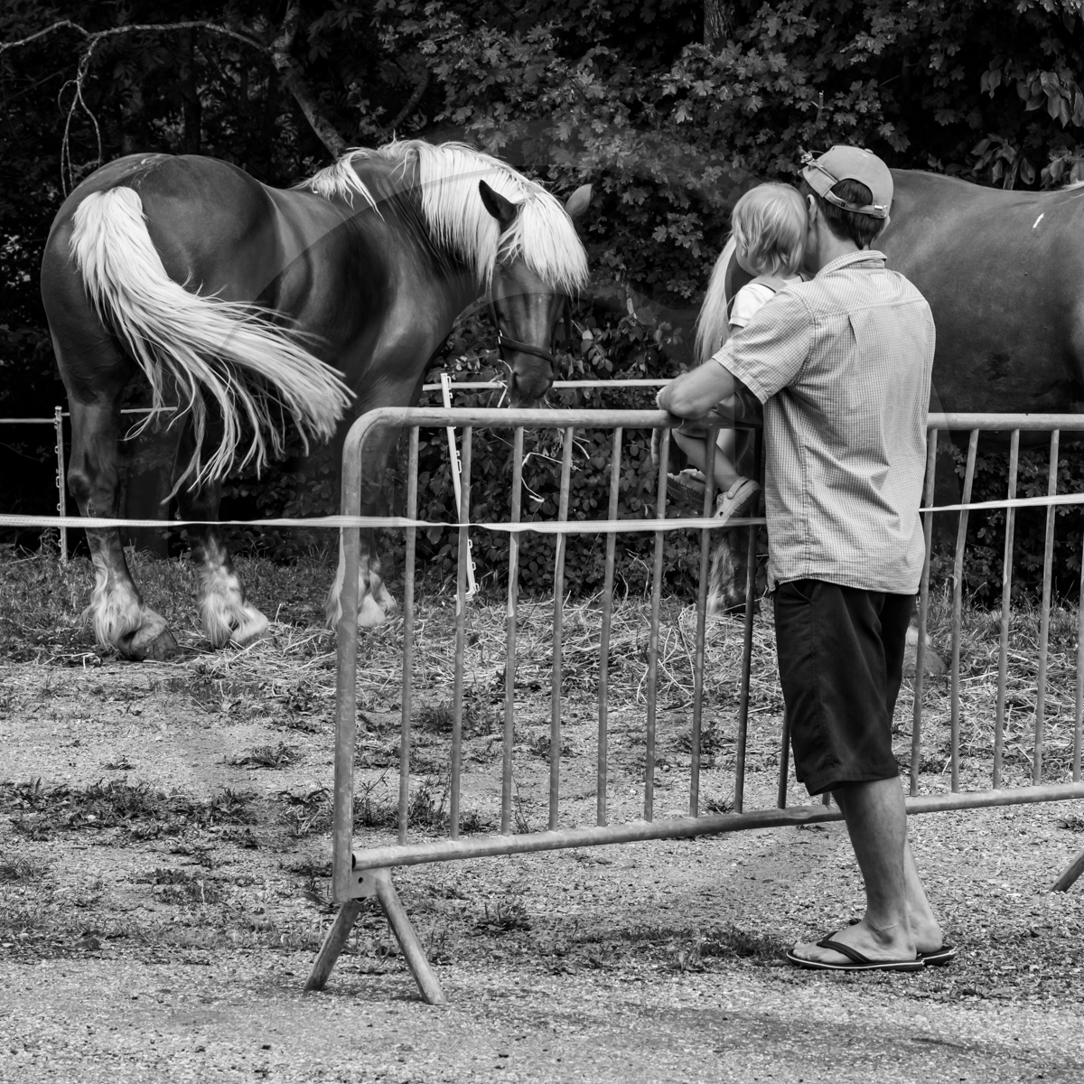 Jeanne Bleuse - Festival de Chaillol