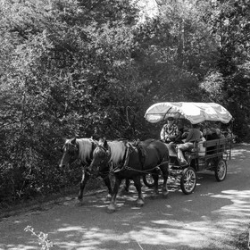 25 septembre 2019 : Promenade en calèche