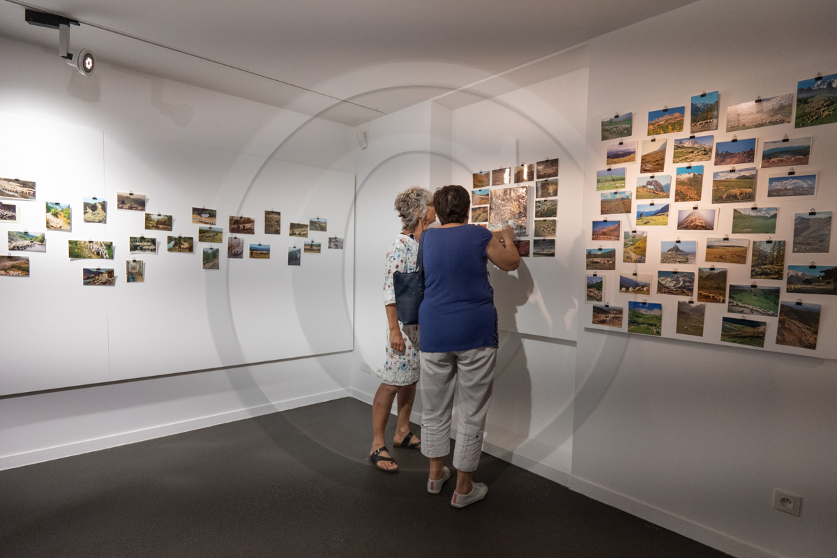 Exposition à la Maison du Berger