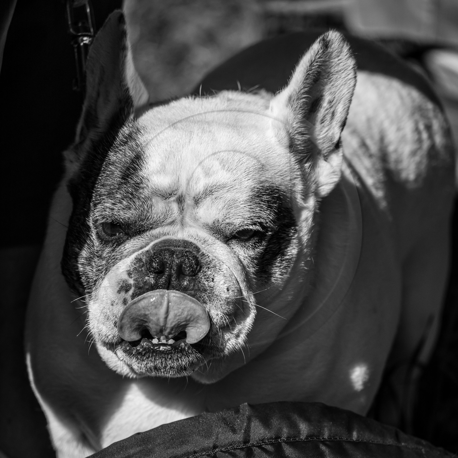 02 octobre 2024 : des contes avec Gilles Bougère et quelques autres conteurs