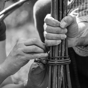 30 avril 2025 : Un oiseau en osier