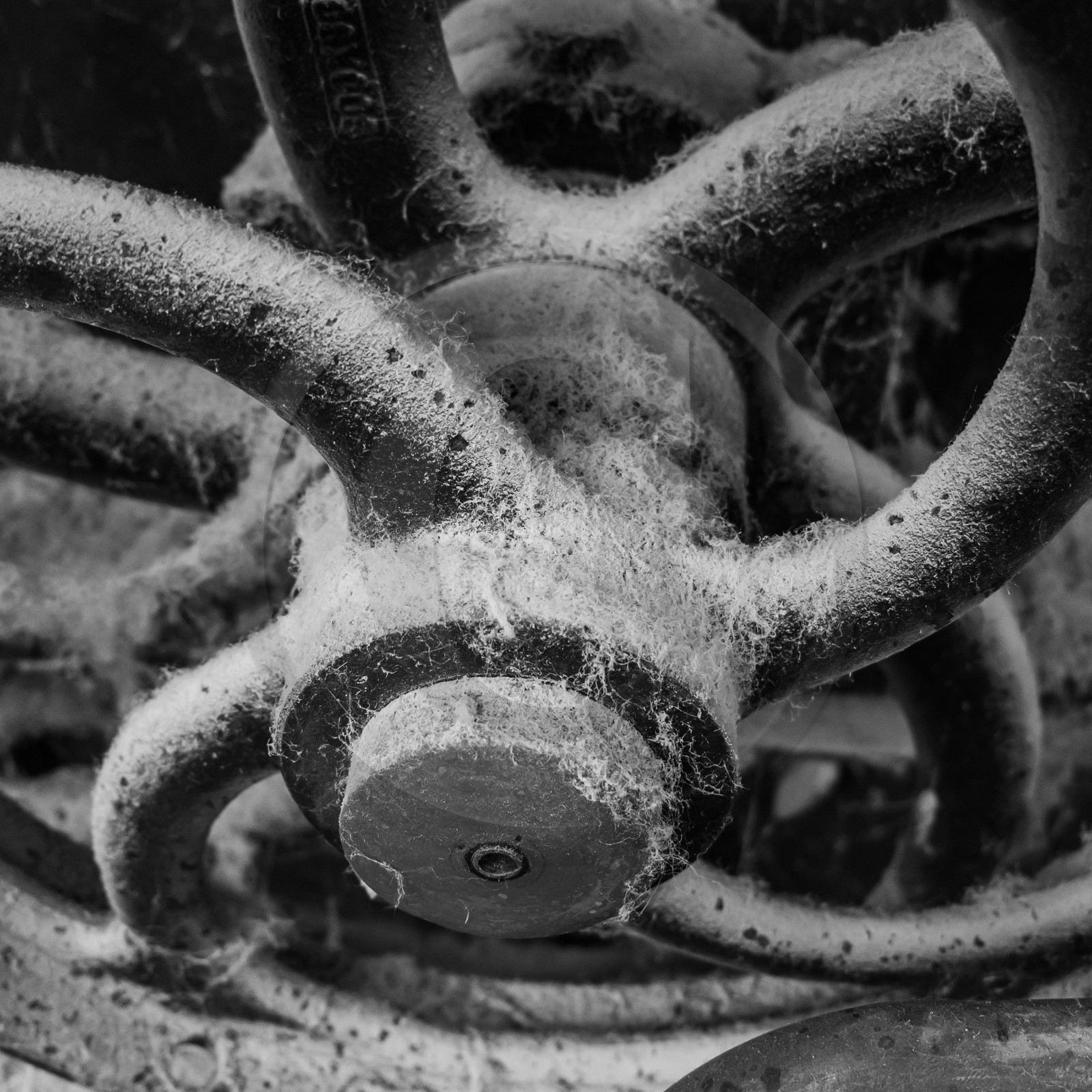 La Filature du Valgaudemar