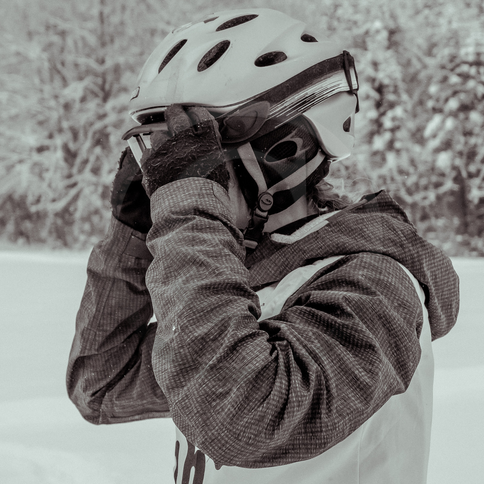 La Valgaude Traineau 2015