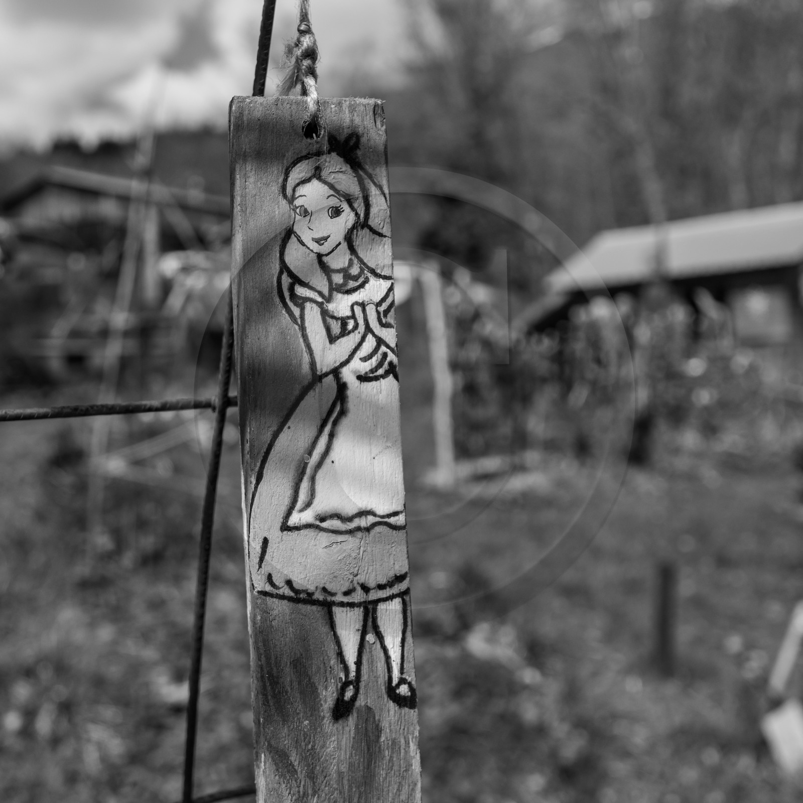 14 avril 2021 : collages, taille, jardinage