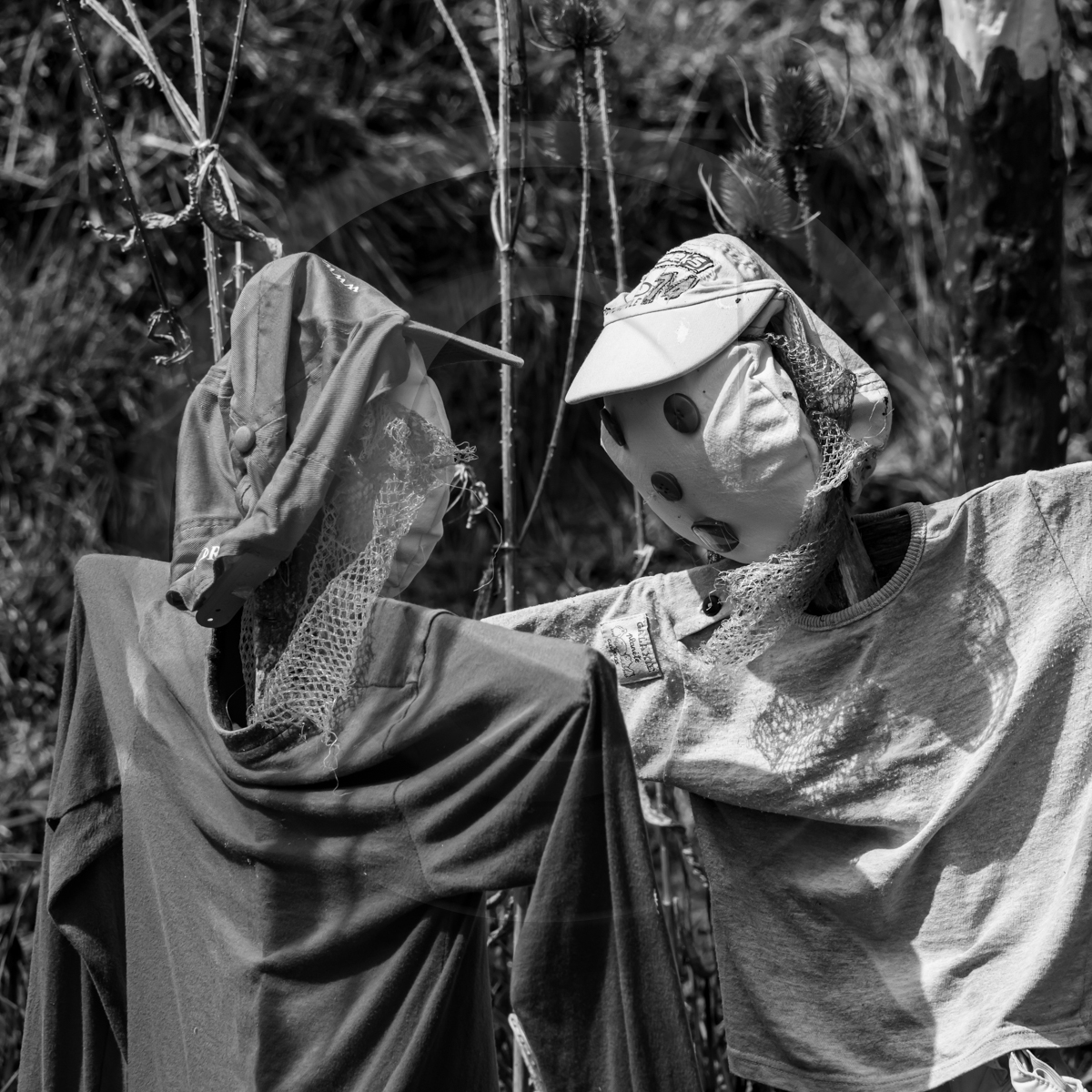 24 avril 2023 : Journée des aidants et des aidés