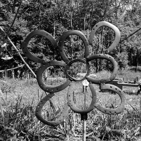 12 juin 2019 : Après-midi au jardin
