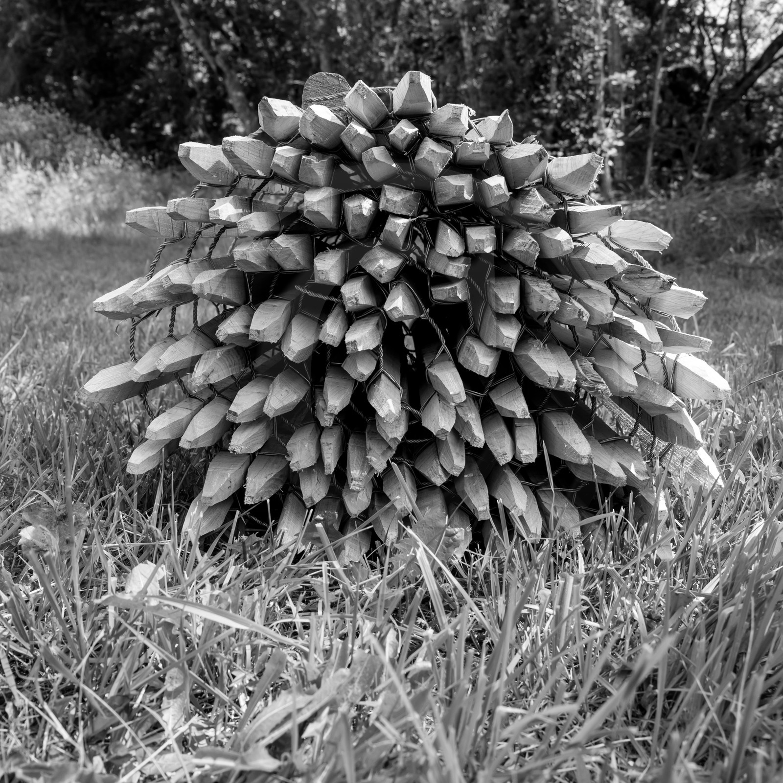 14 juin 2017 - Pose de la clôture