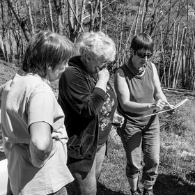 Nettoyage du terrain - Coupe du bois - 29 03 17