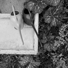 21 août 2019 : installation d'une oeuvre en bois flotté