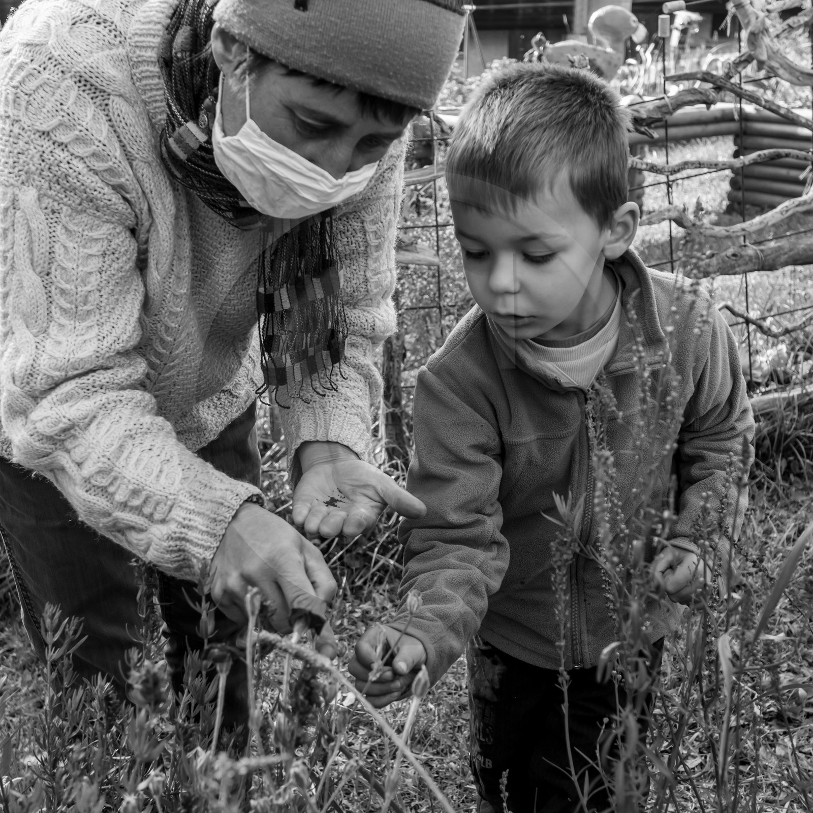 Semis, tournesols et jeux