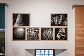 Expositions à la maison du Berger - Champoléon