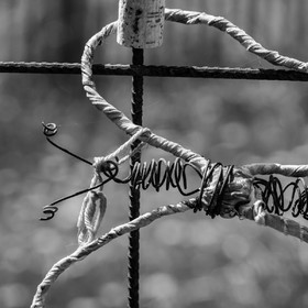 29 avril 2022 : journée des aidants et des aidés