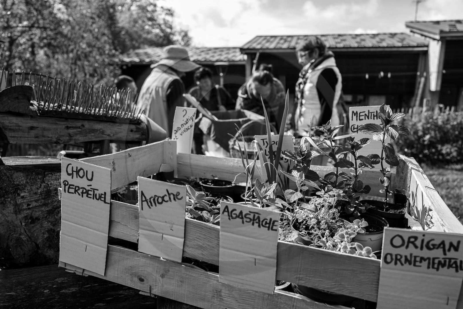 14 mai 2023 : Vide-Jardin