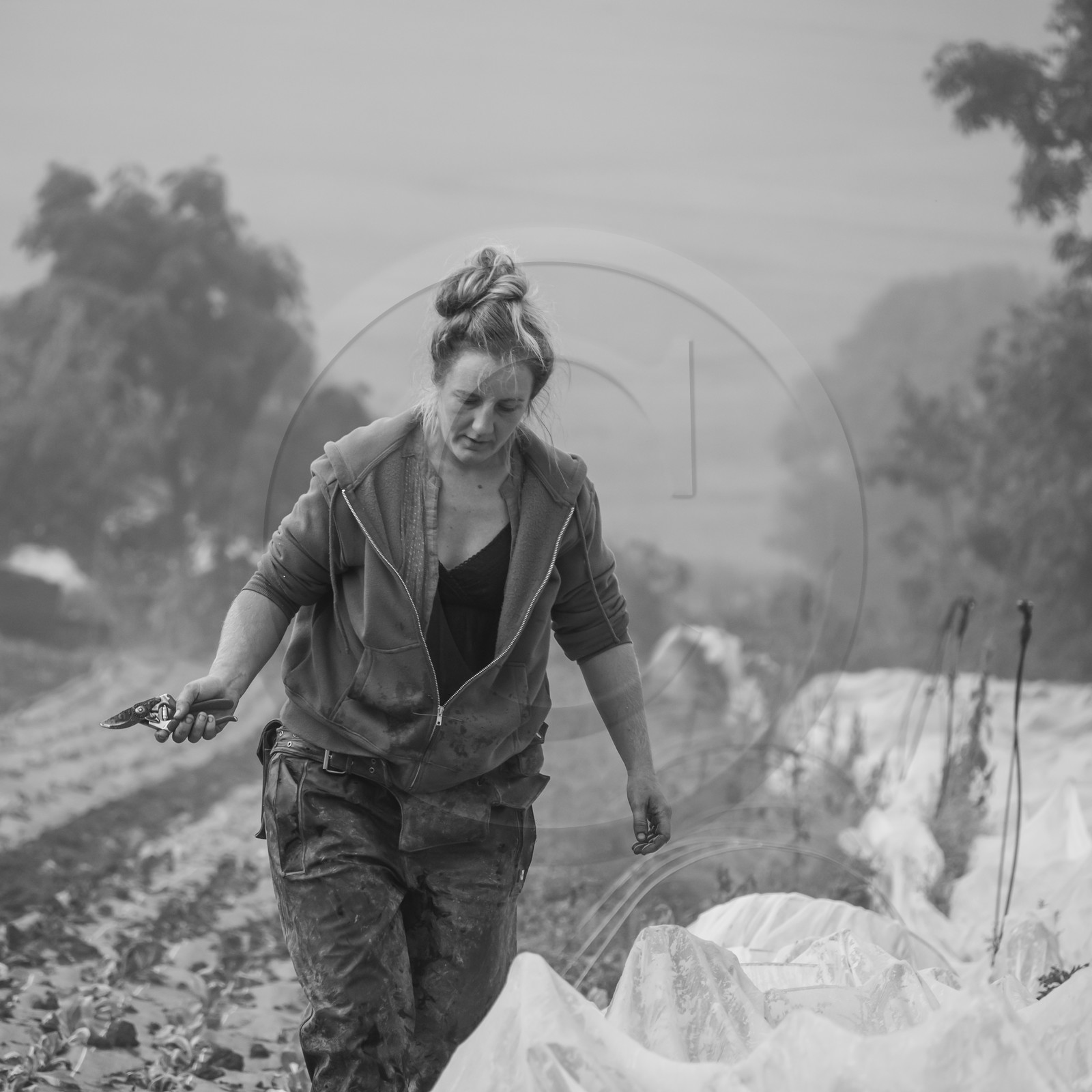 Maraichage biologique dans le Champsaur