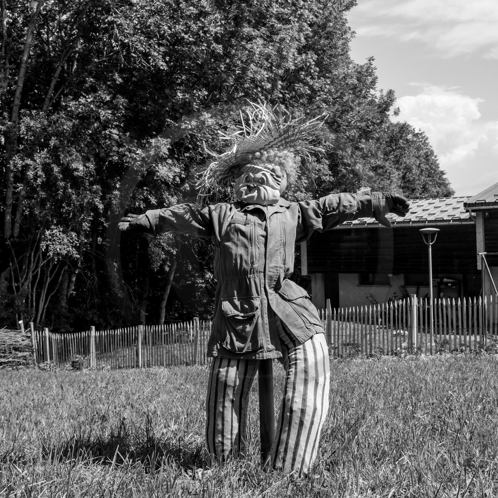 21 juin 2017 - Installation des épouvantails