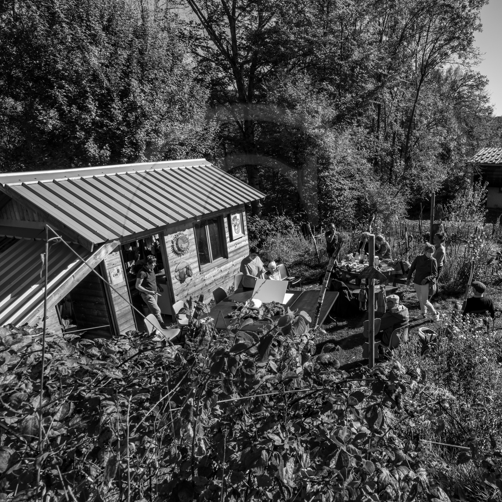 27 octobre 2021 : Un sentier et une réunion