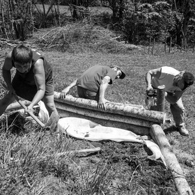 31 mai 2017 - Jardinage