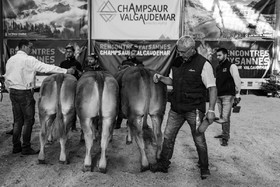 Rencontres paysannes à Saint-Bonnet en Champsaur