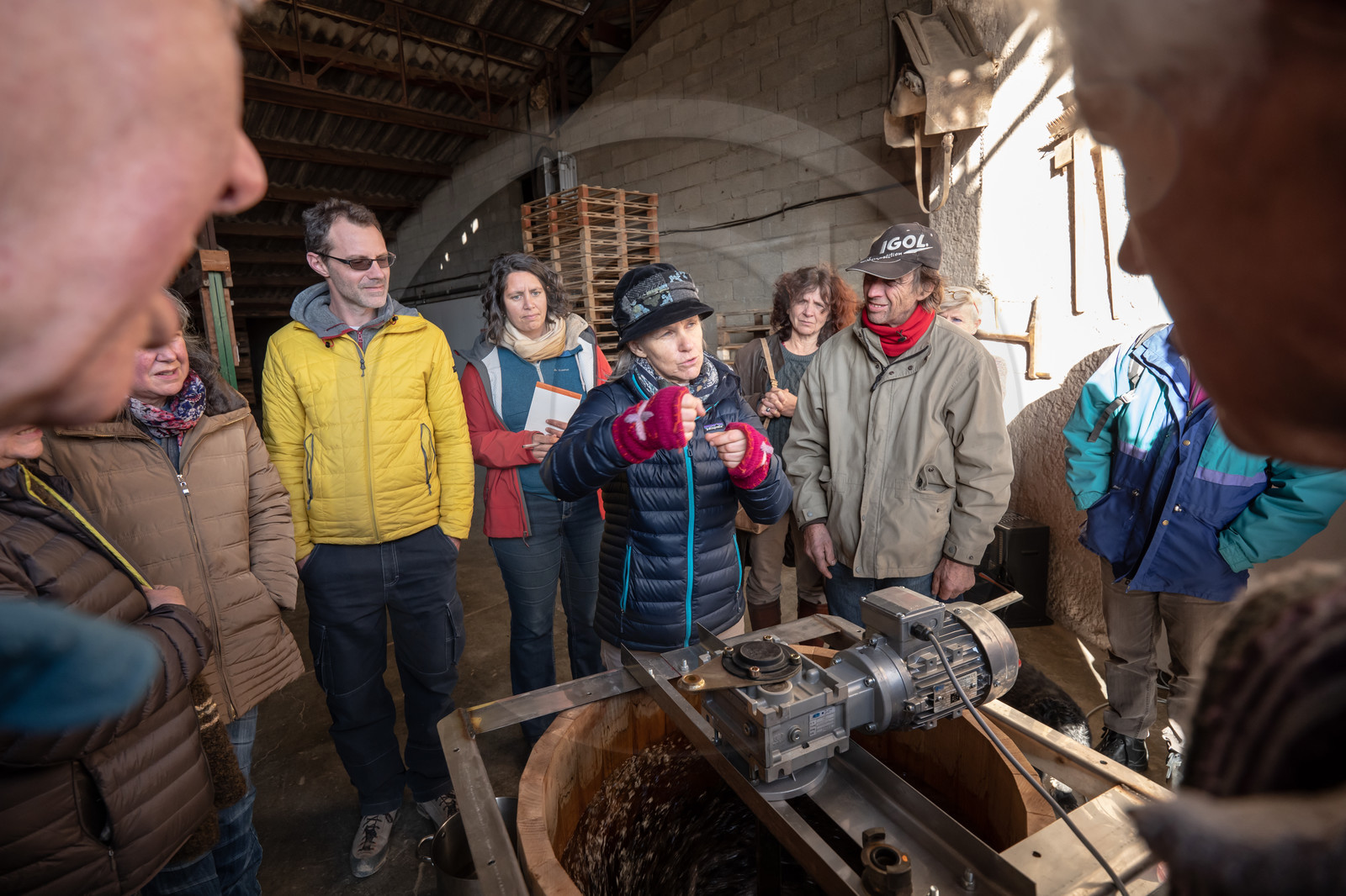 Croqueurs de pommes des Alpes Latines