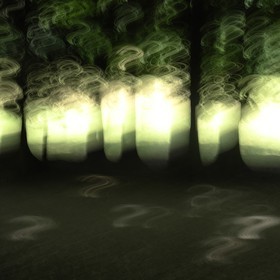 Le Pays des Arbres Flous