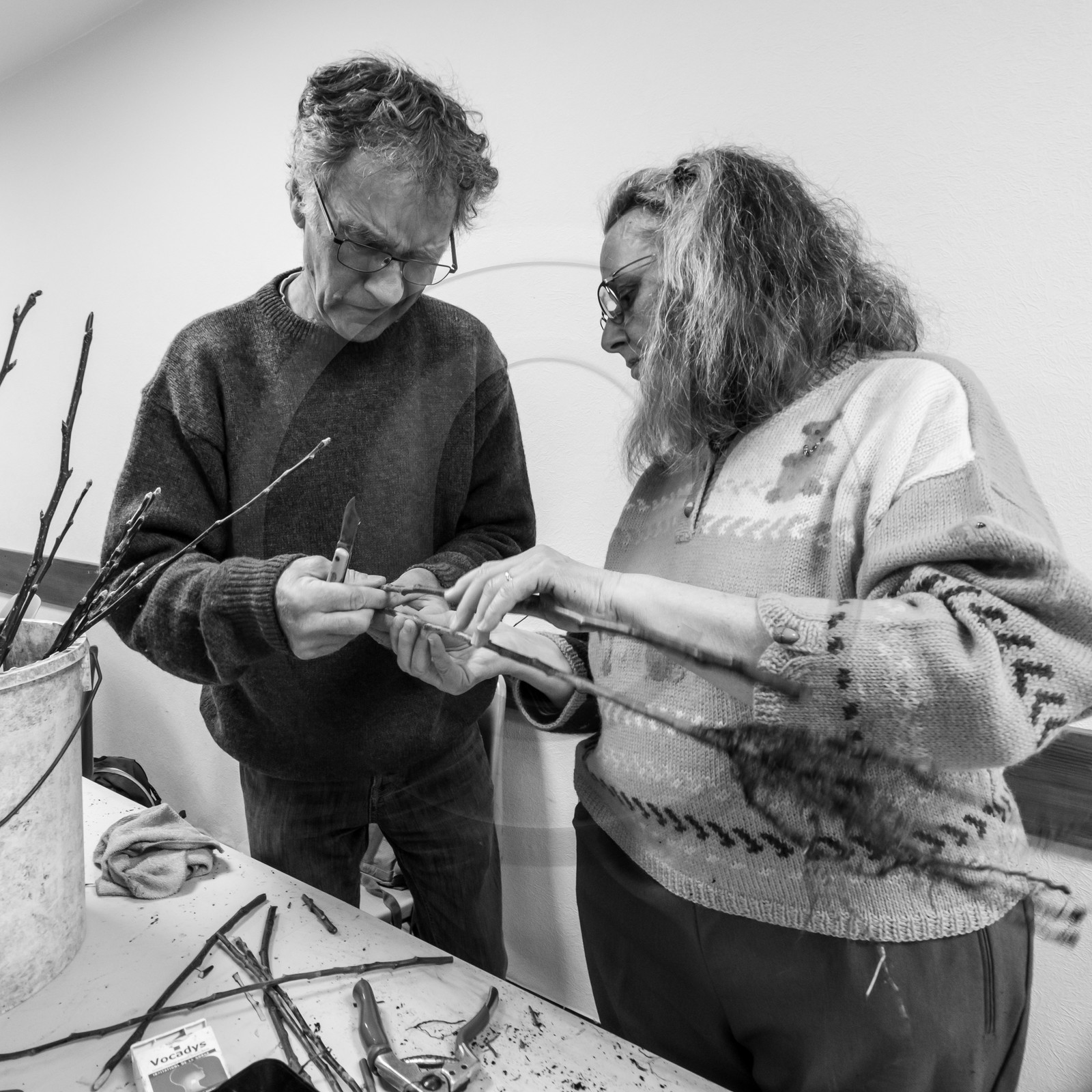 03 avril 2019 : Initiation à la greffe d'arbres fruitiers