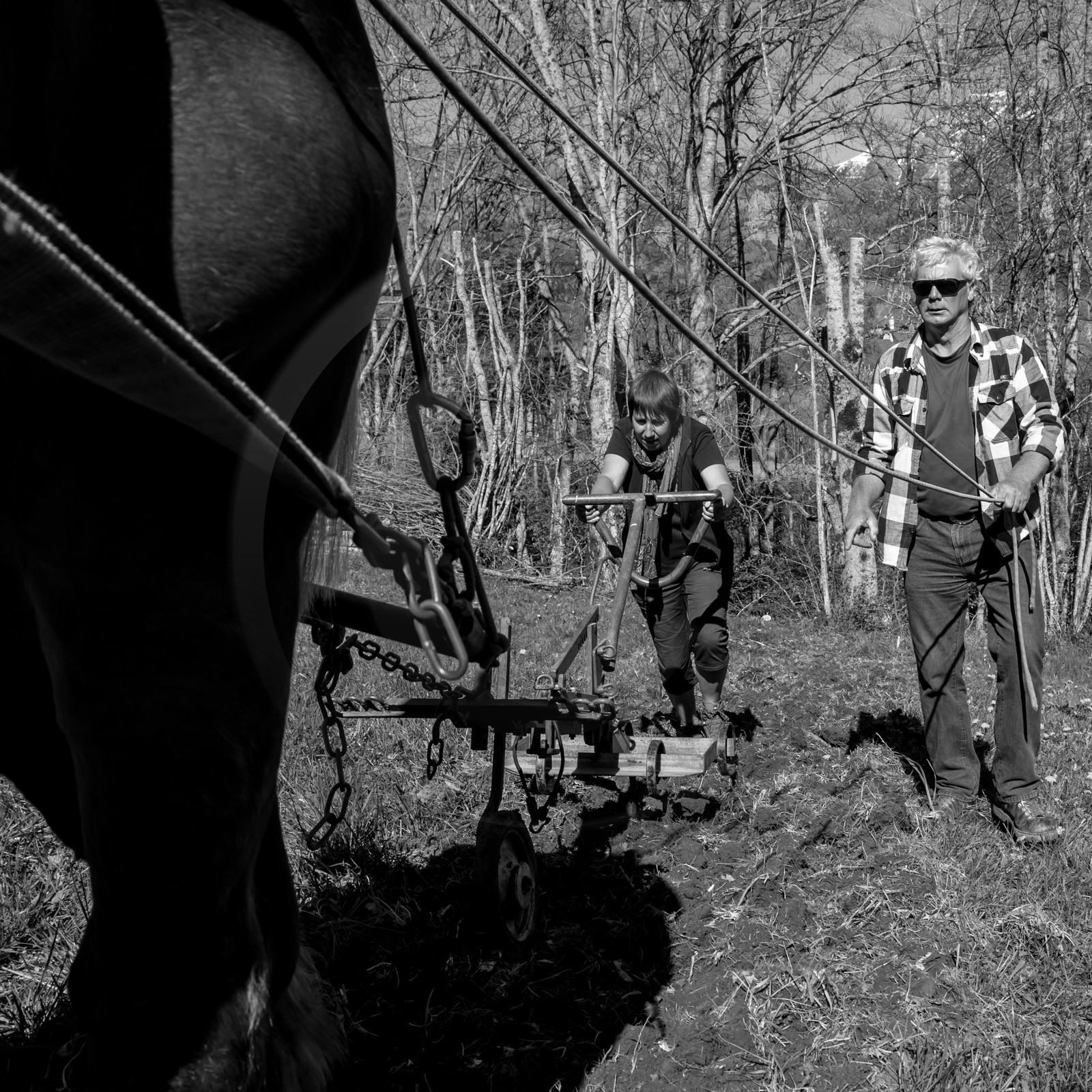 L'Ouort de Bénévent - 17 avril 2017