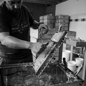 L'extraction du miel