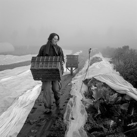 Sophie Jaussaud, maraichère à Ancelle