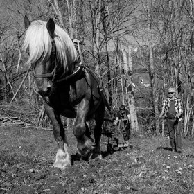 L'Ouort de Bénévent - 17 avril 2017