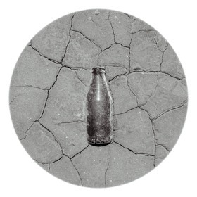 Les instants Camargue