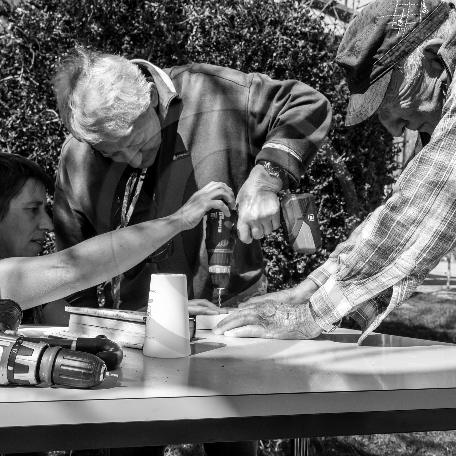 Fabrication de Nichoirs