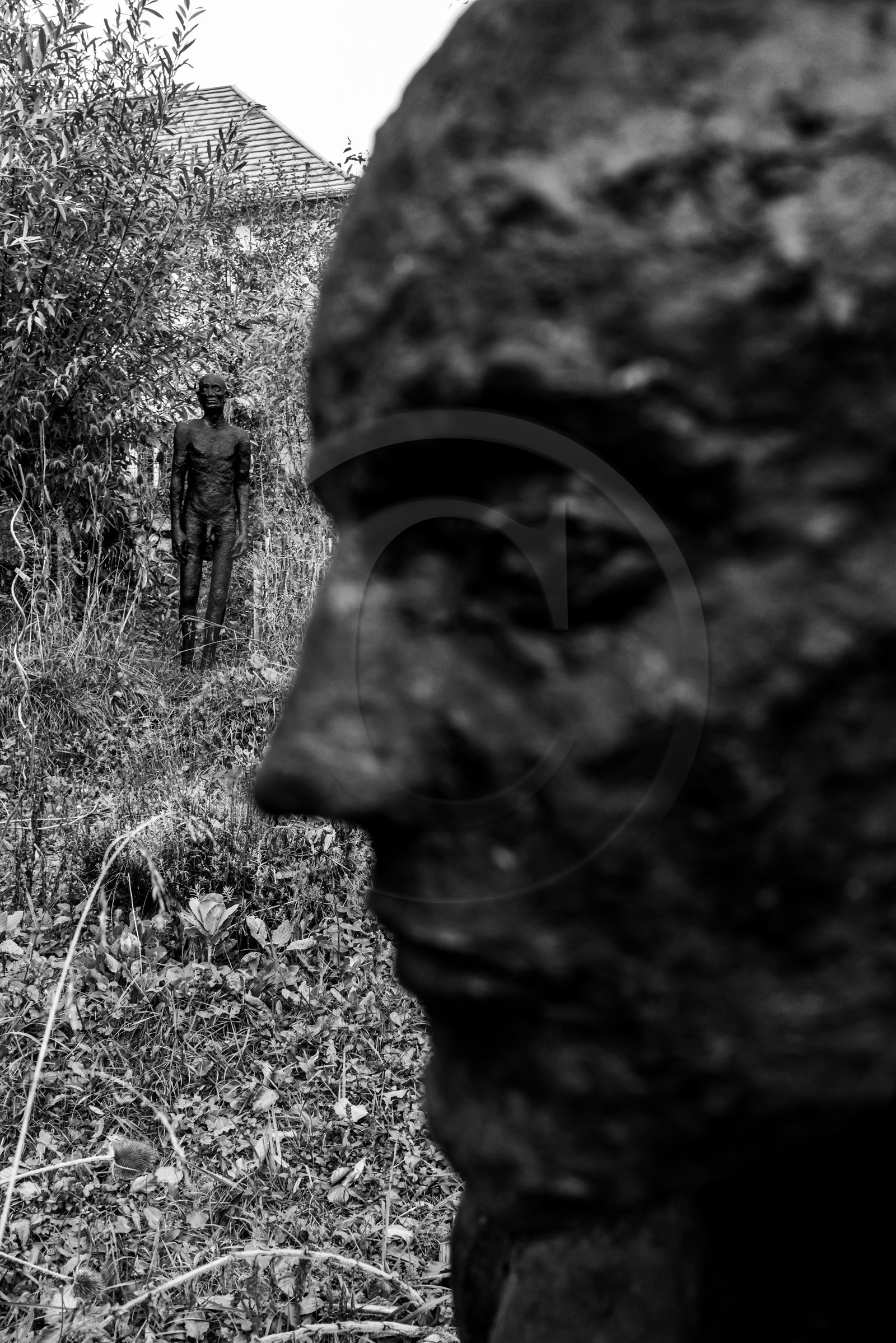 Exposition La forêt d'hommes, une création de Barbara Fougnon, artiste plasticienne