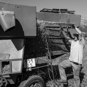 Les moissons dans le Champsaur