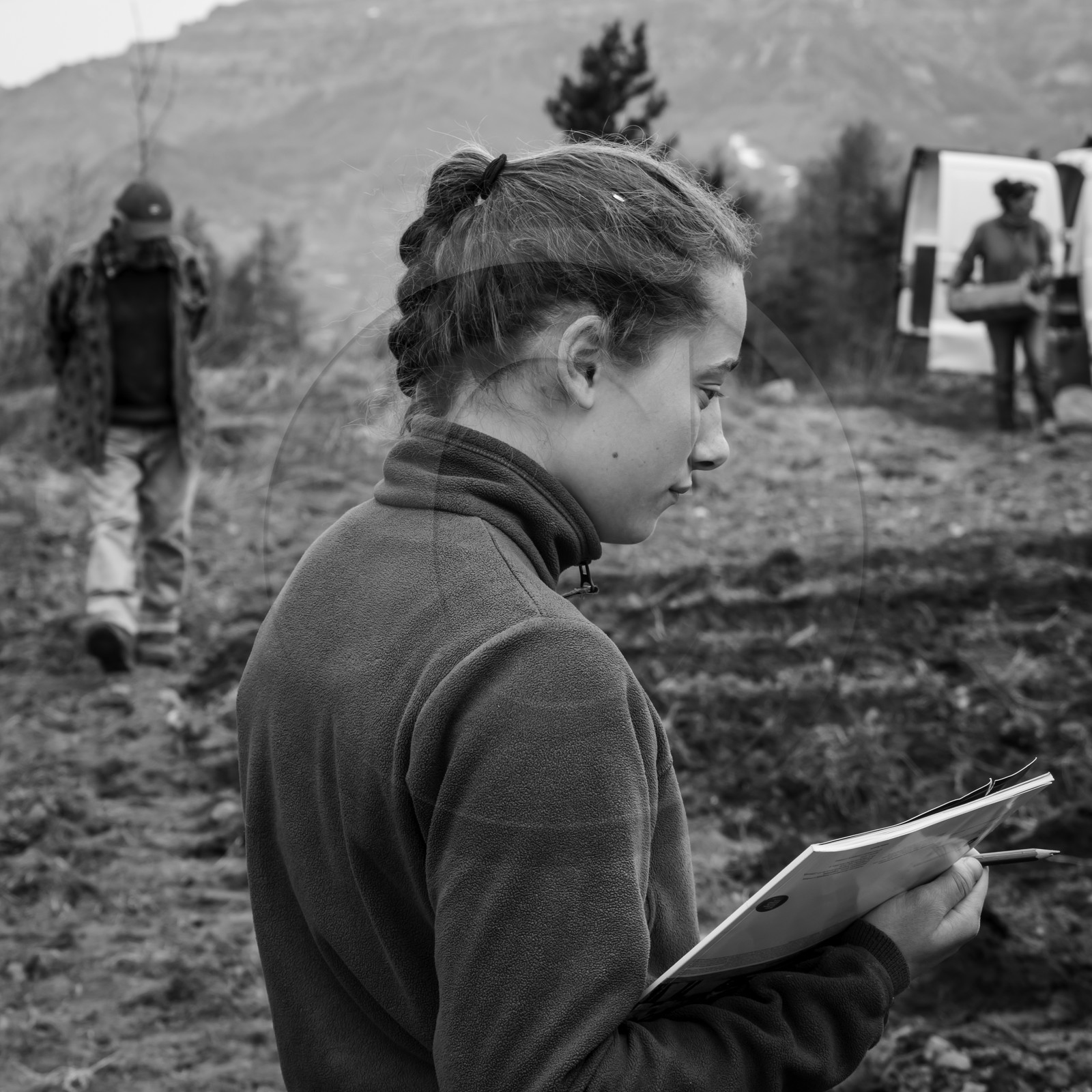 La plantation des pommes de terre