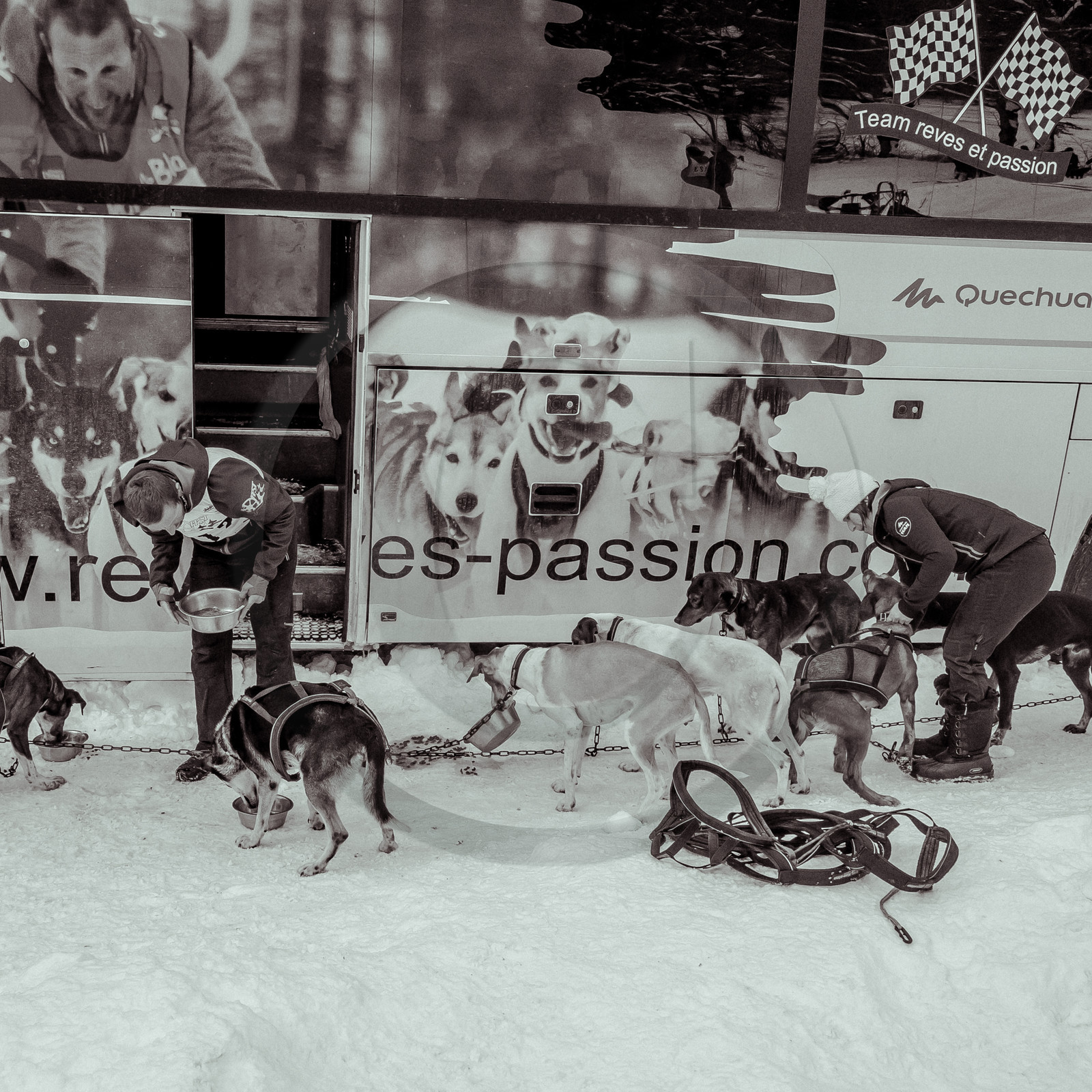 La Valgaude Traineau 2015