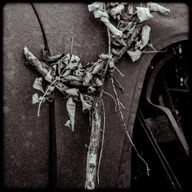 Un cimetière de voitures