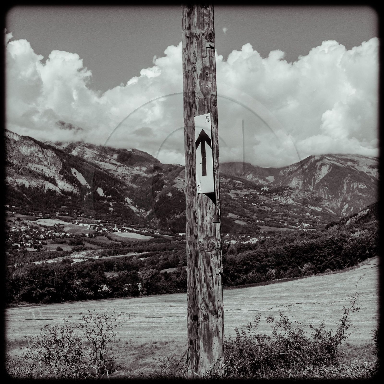 Tour de France cycliste 2020