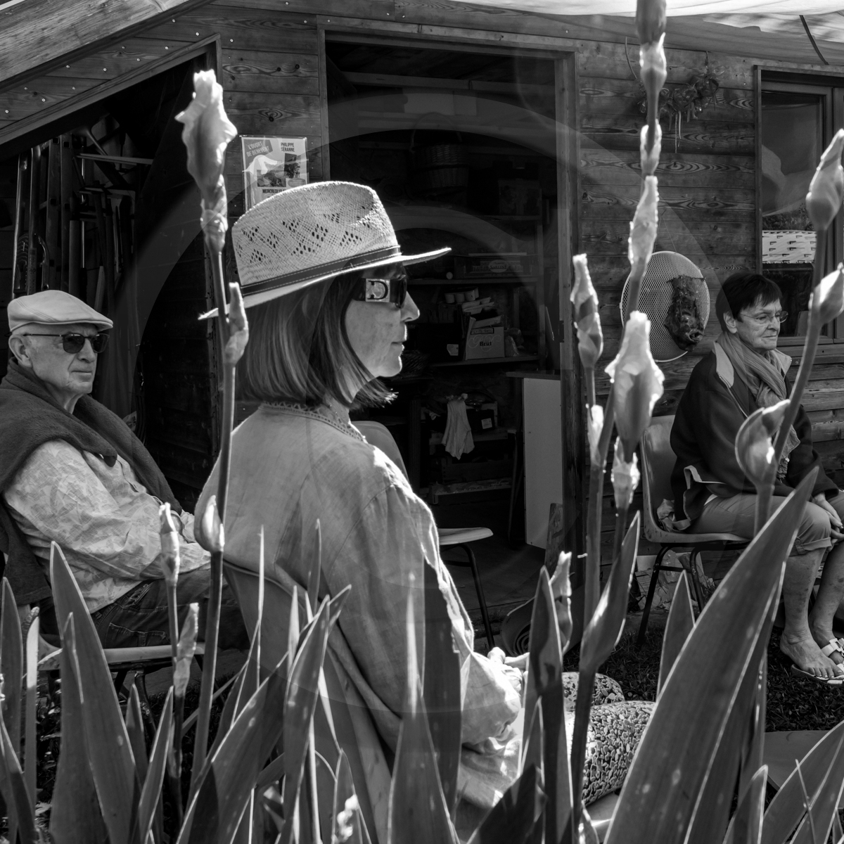 20 mai 2022 : 2ème journée des aidants