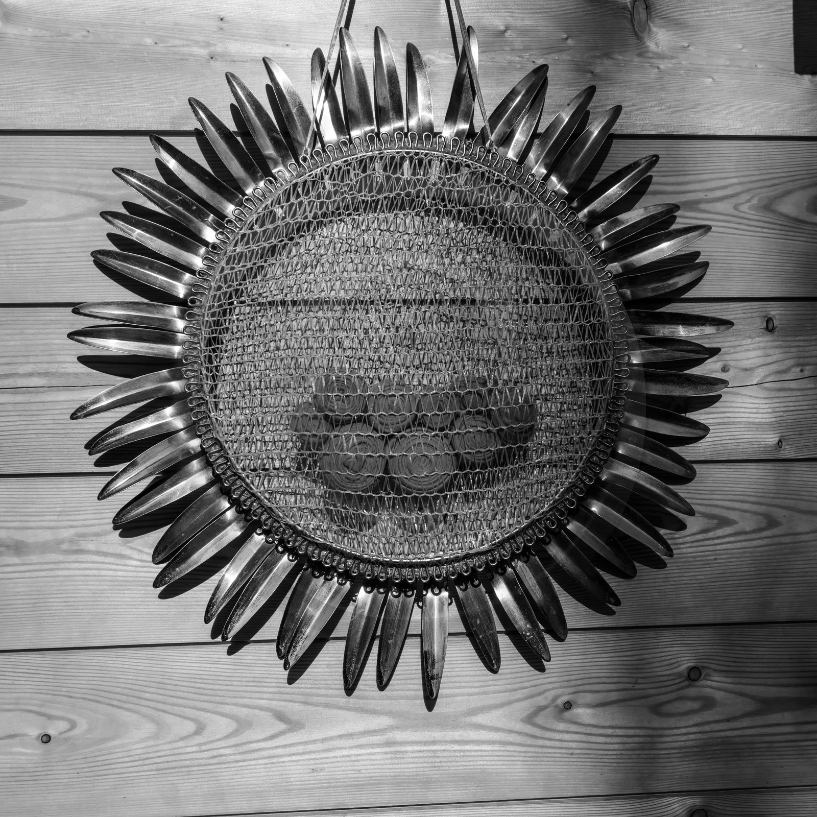 20 mars 2018 : une après-midi au jardin