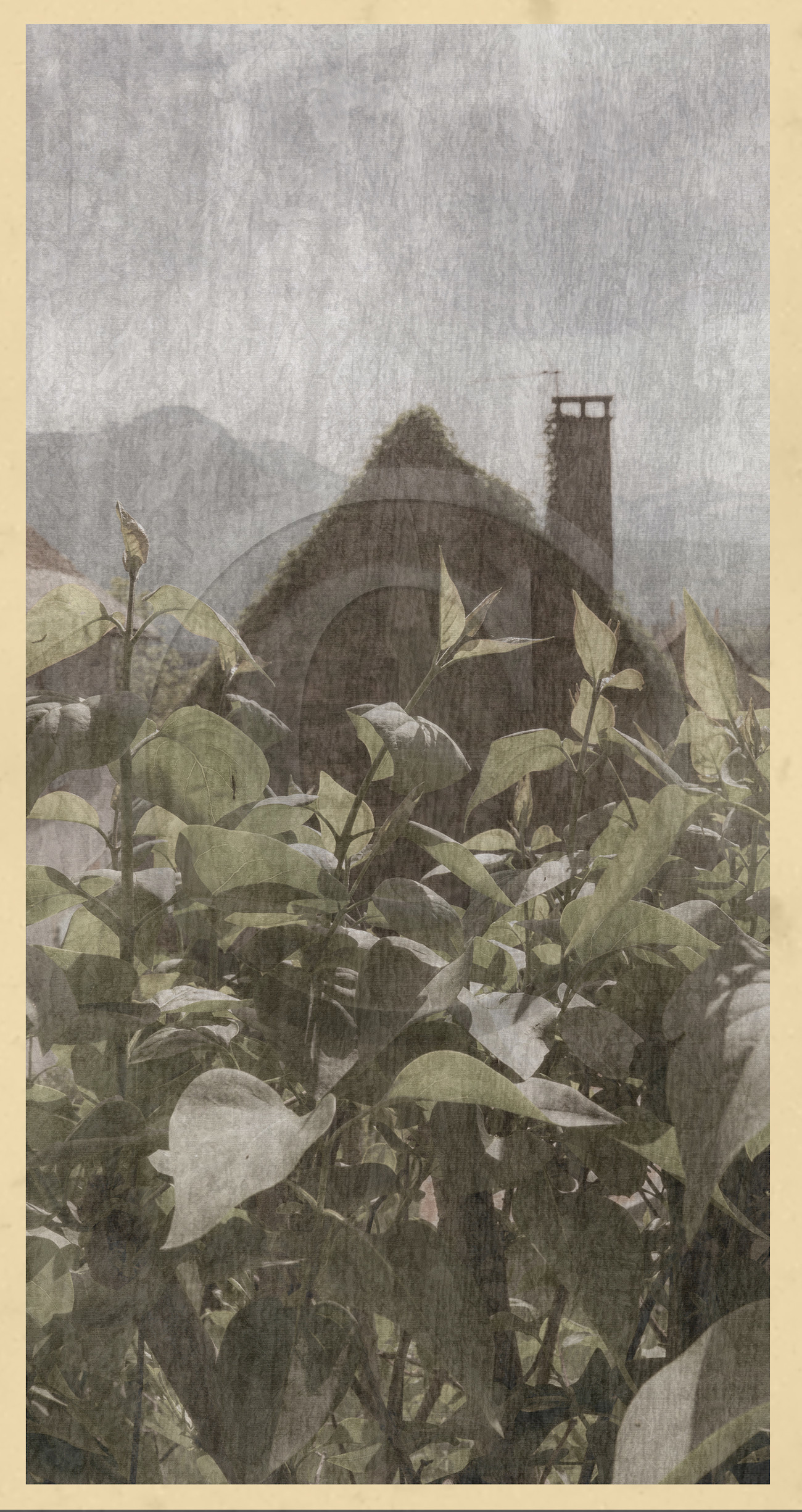 Le kilomètre dérogatoire