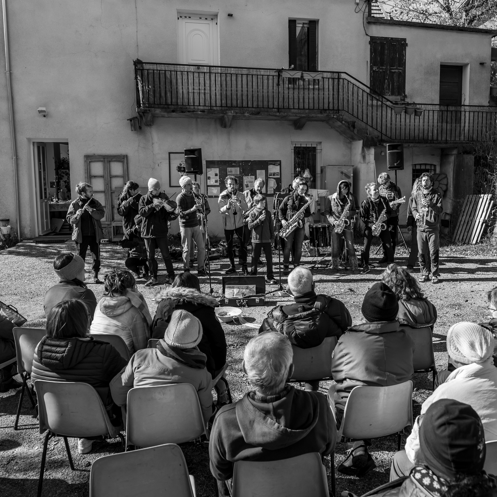 26 octobre 2025 : Les oiseaux de trottoir