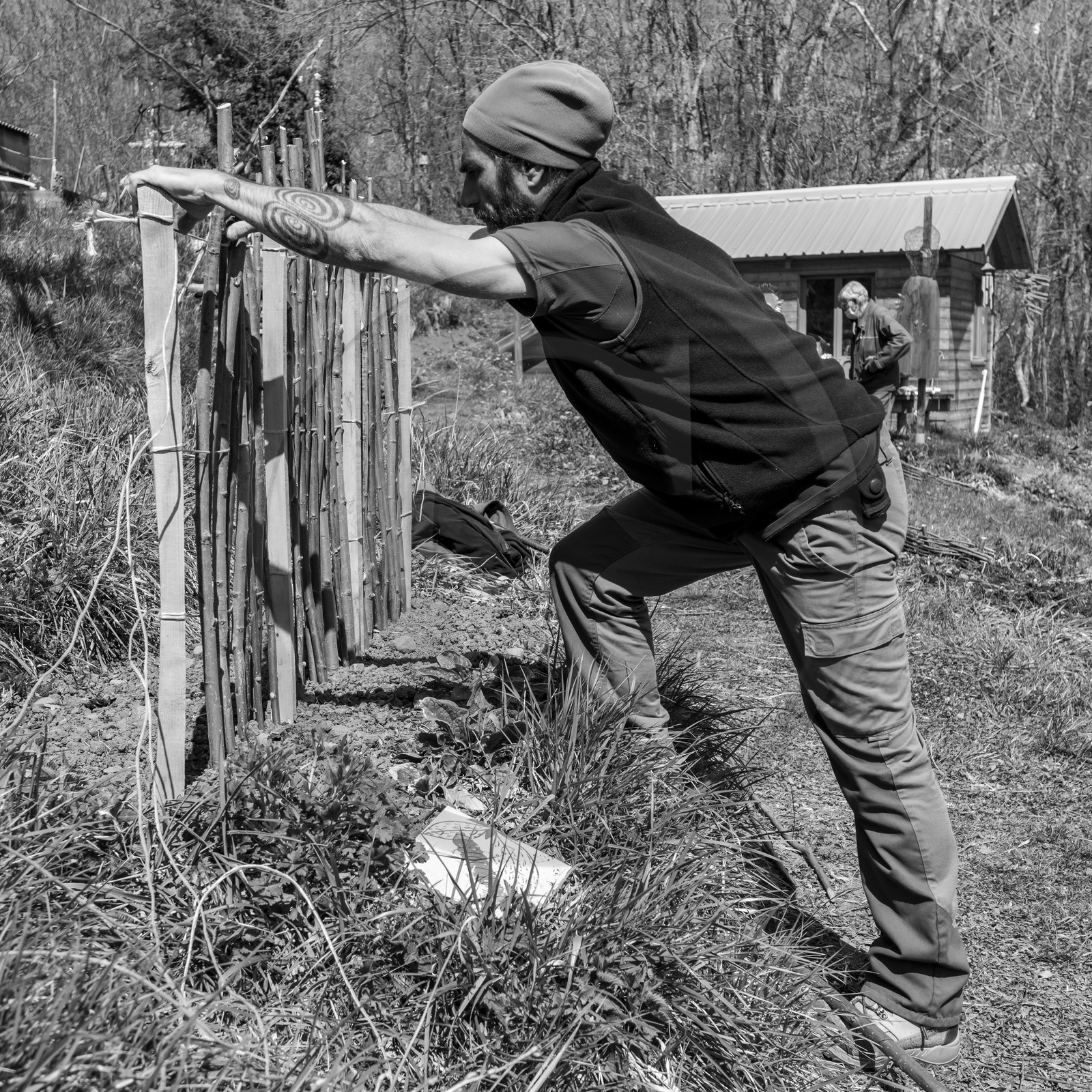 14 avril 2021 : collages, taille, jardinage