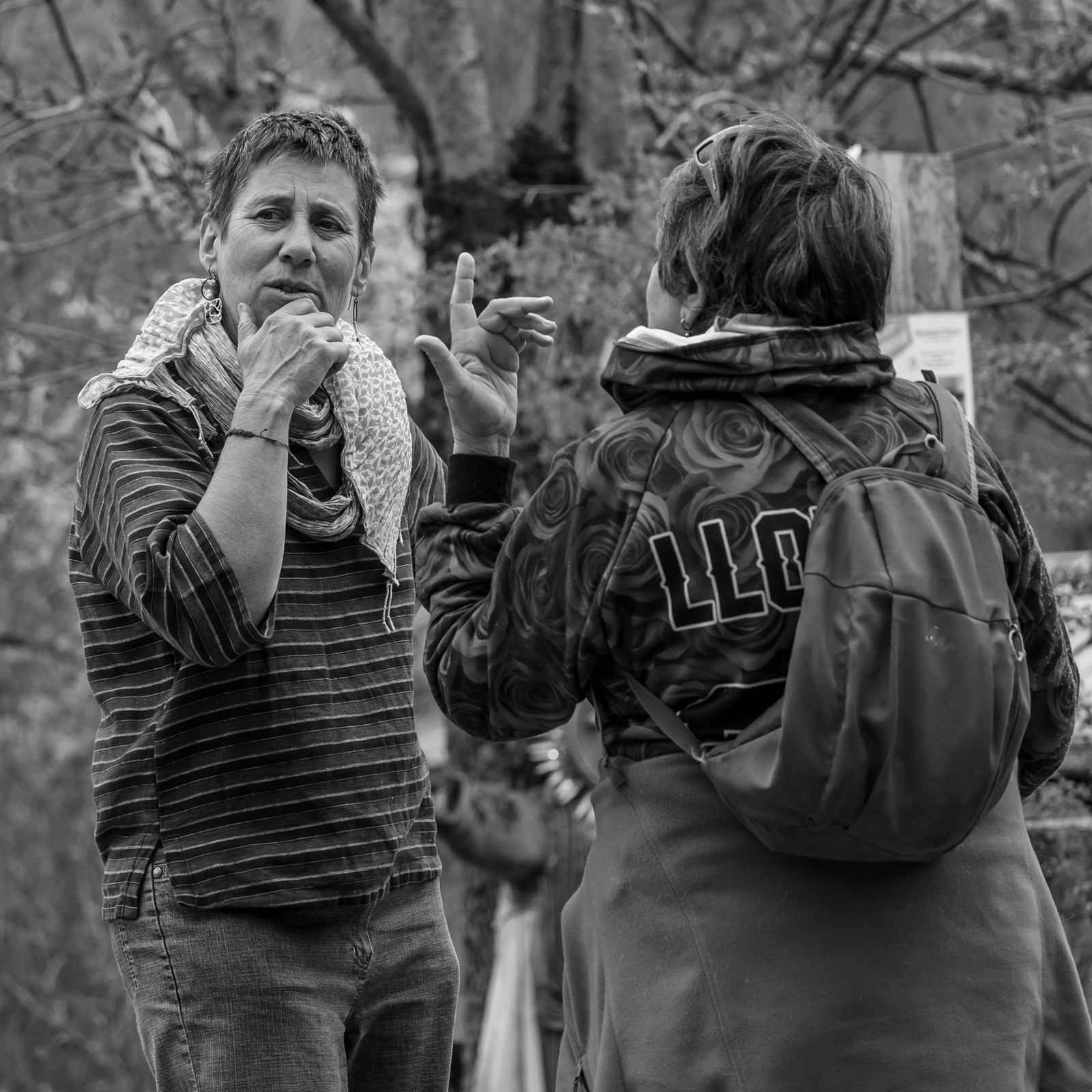 23 avril 2025 : Des oiseaux et des plantes