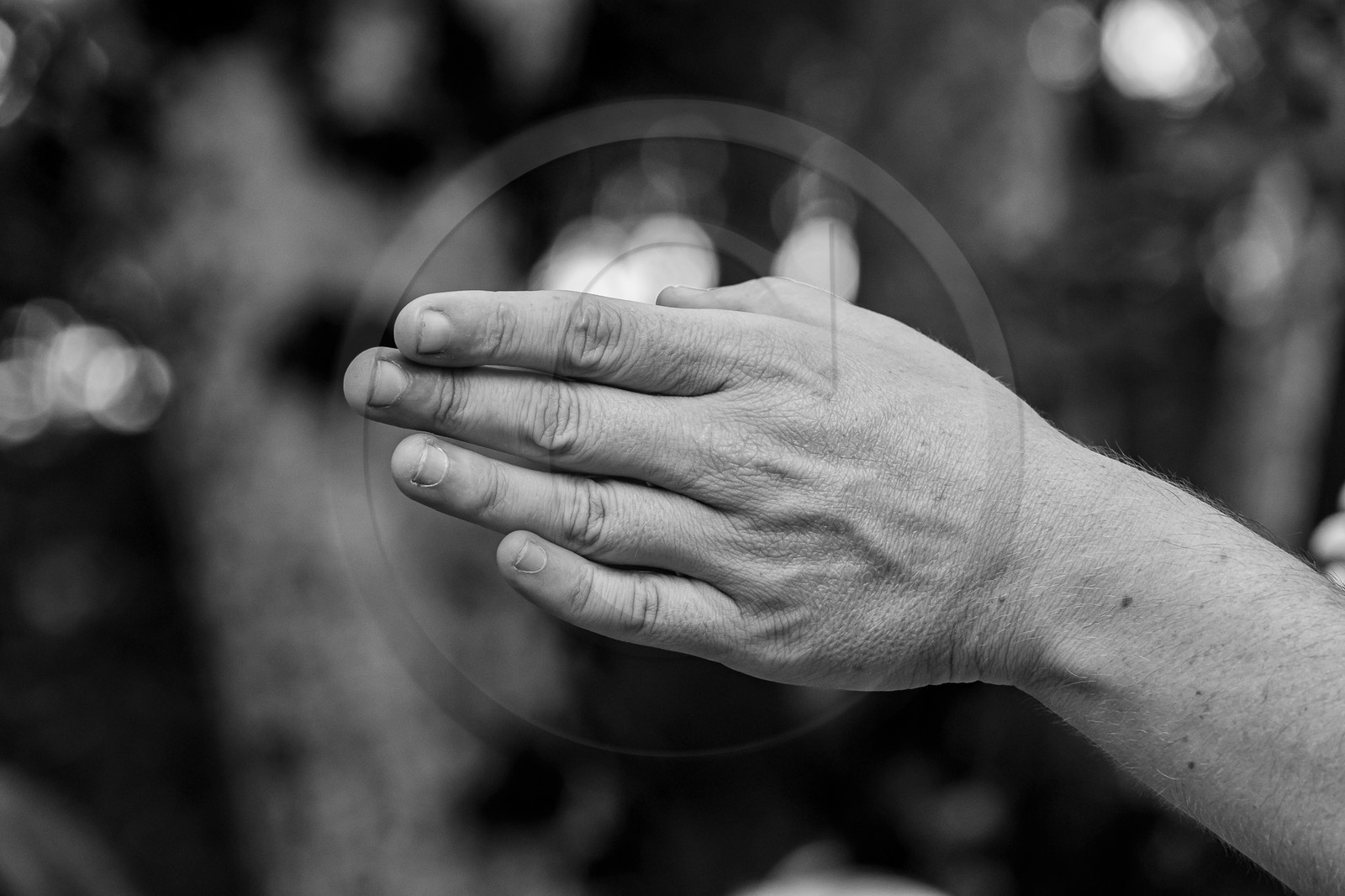 19 juillet 2023 : Une chorale à l'Ouort