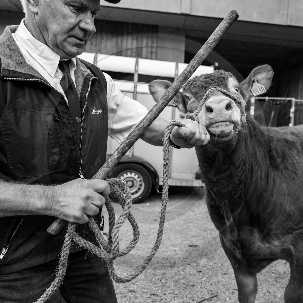 Rencontres paysannes à Saint-Bonnet en Champsaur