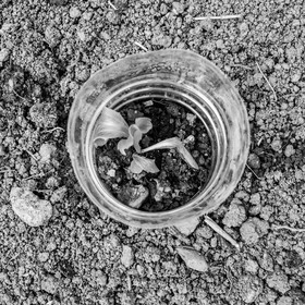 21 avril : jardinage, collages, peinture