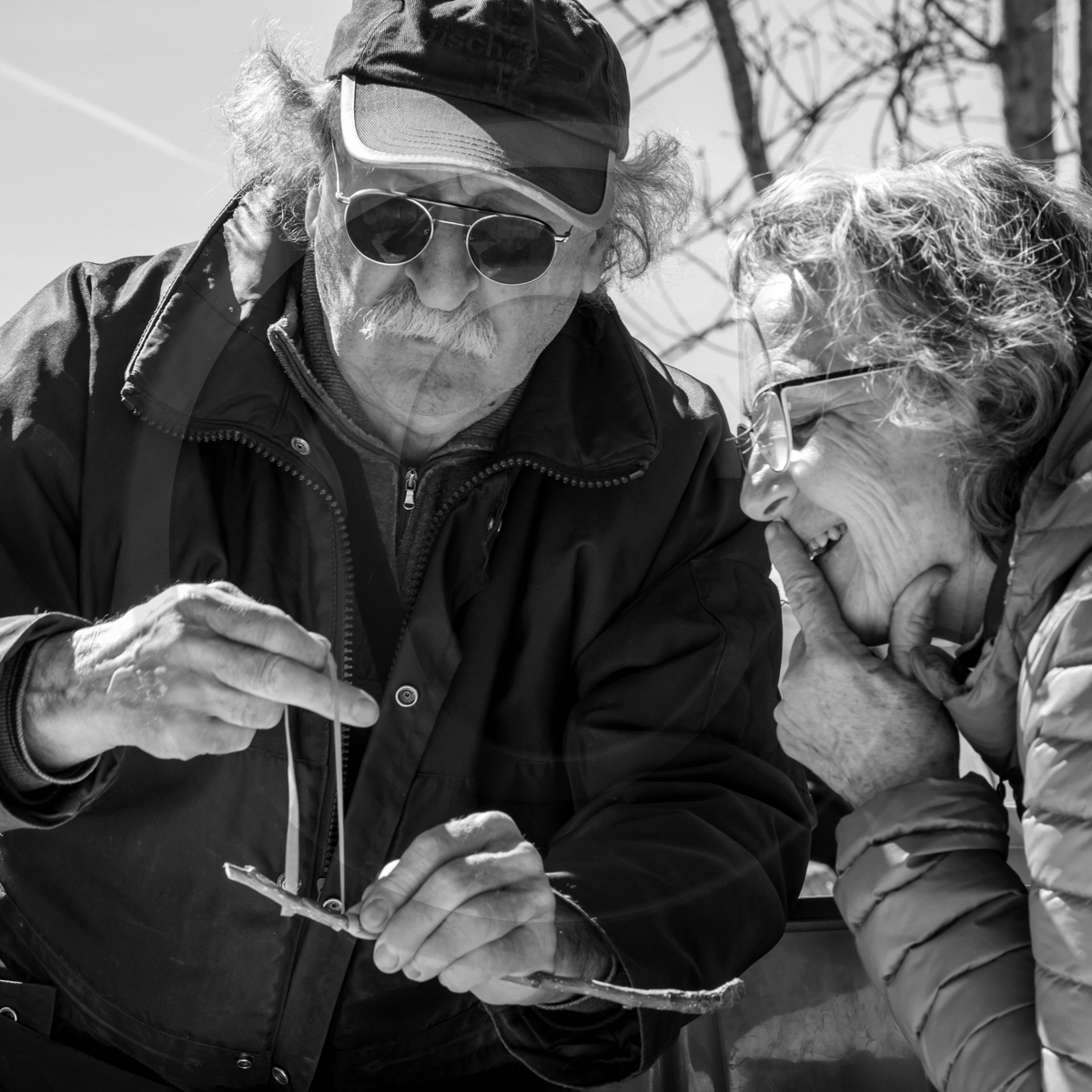 10 avril 2022 : Initiation à la greffe d'arbres fruitiers