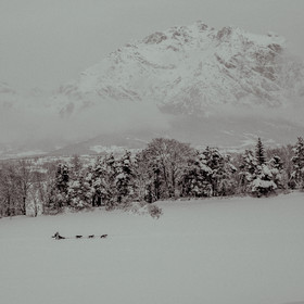 La Valgaude Traineau 2015