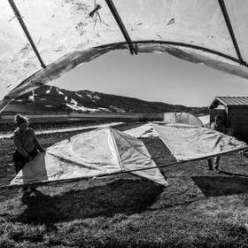 Montage de serres tunnel