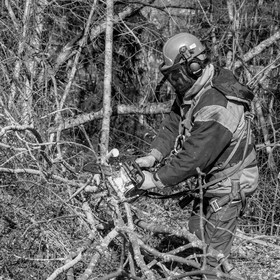 Elagage - 08 03 2017